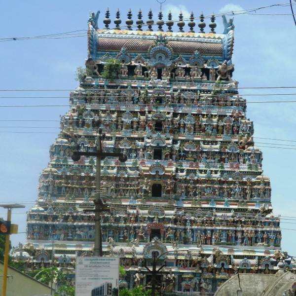 சசிகலாவின் யாகம் 