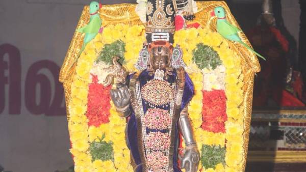 Trichy Malaikottai Tayumanava Swami Temple Panguni Festival 