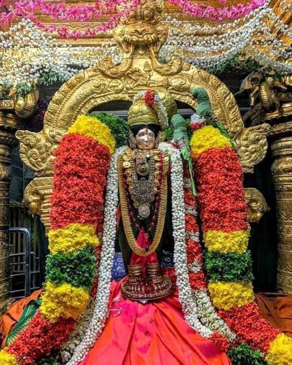 சூடிக்கொடுத்த சுடர்க்கொடி 