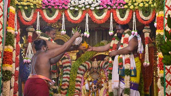 முடக்கிய கொரோனா 