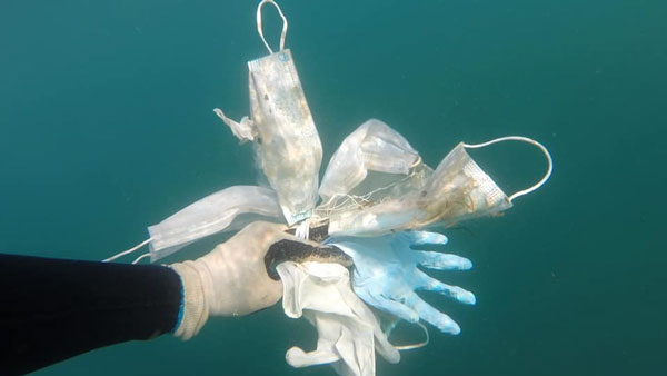  மீன்களை மிஞ்சும் பிளாஸ்டிக் 