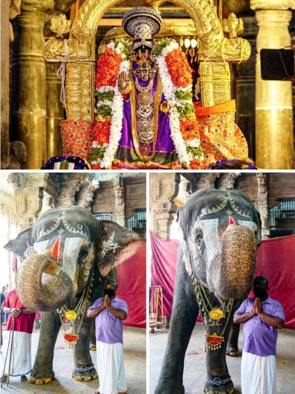 நம்பெருமாள் 