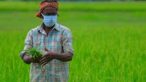 விவசாயம் செழிக்கும் விவசாயம் செழிக்கும்