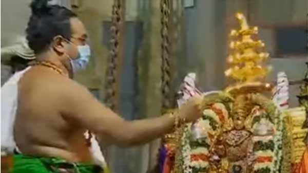 புது மணத்தம்பதிகள் 