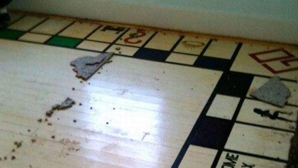  டிசைன் ஓகே