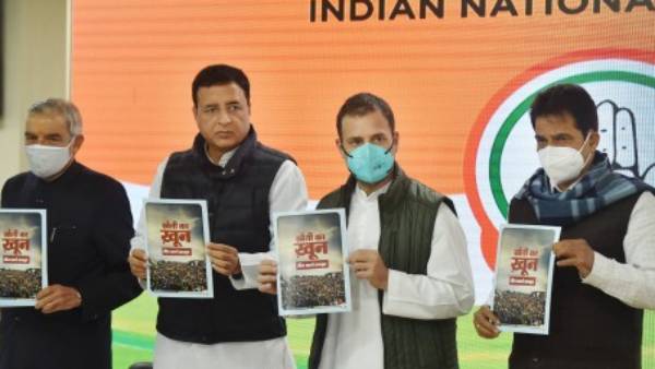 சத்தீஸ்கர், ராஜஸ்தானில் தஞ்சம் சத்தீஸ்கர், ராஜஸ்தானில் தஞ்சம்