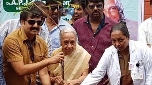 மரக்கன்றுகள் 