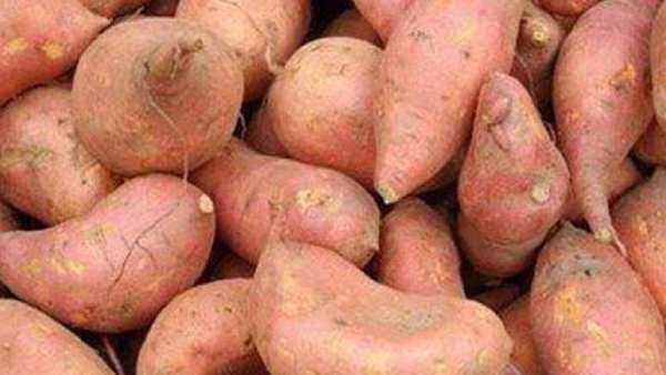 சர்க்கரை 