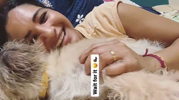 நாயுடன் கொஞ்சி விளையாட்டு நாயுடன் கொஞ்சி விளையாட்டு