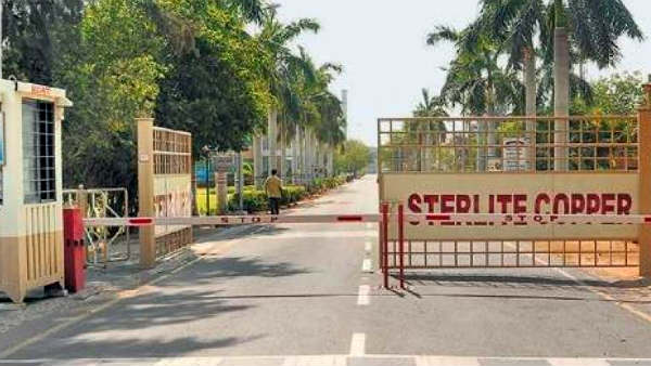 கொல்லைப்புற முயற்சி கொல்லைப்புற முயற்சி