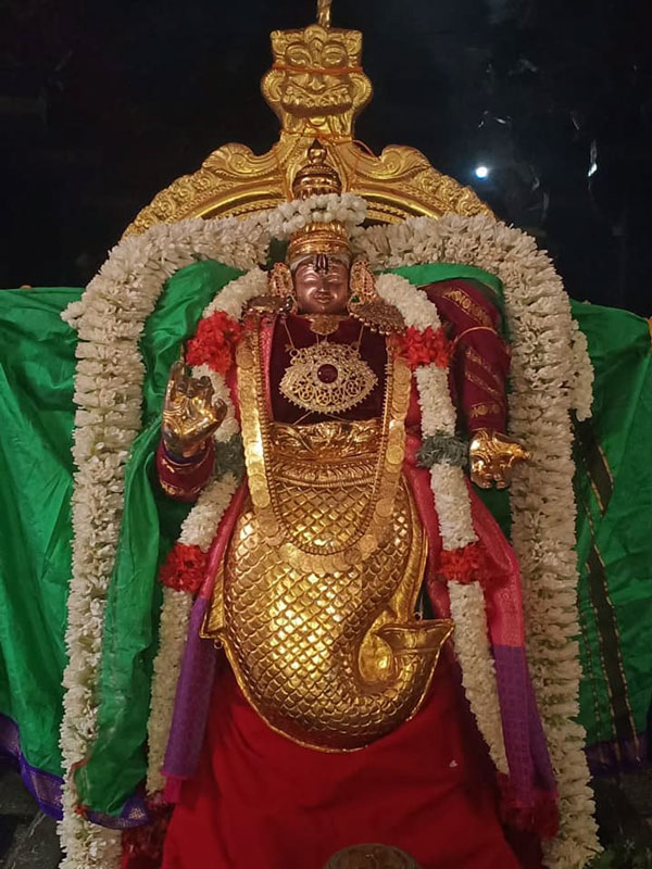  Mandooga maharisi Saba Vimosanam Thadikombu soundararaja perumal temple 