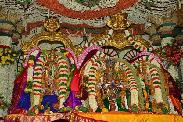 தங்கக் கிளி தங்கக் கிளி