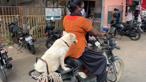 பாதிப்பில்லை 