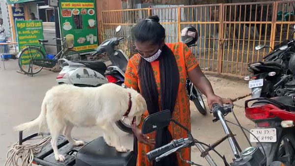 வாகன என்ஜின் 