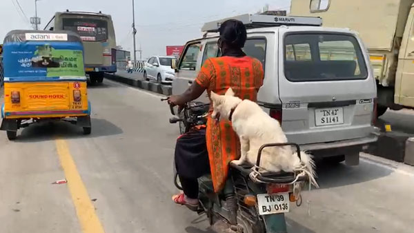 பிரியாத ஜூலி 