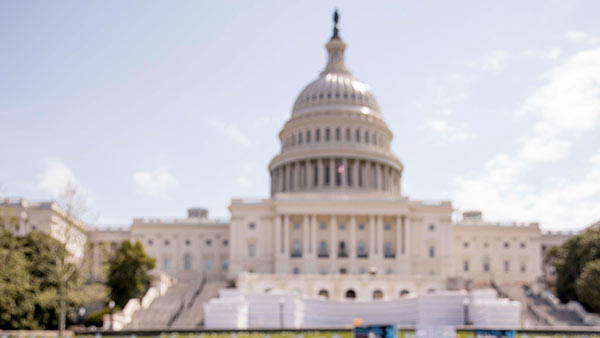 முள் வேலிகள்