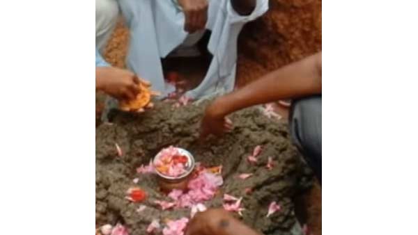 அஸ்தி தூவிய இடத்தில் மரக்கன்று 