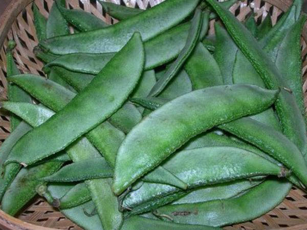 பொதுமக்கள் வேதனை பொதுமக்கள் வேதனை