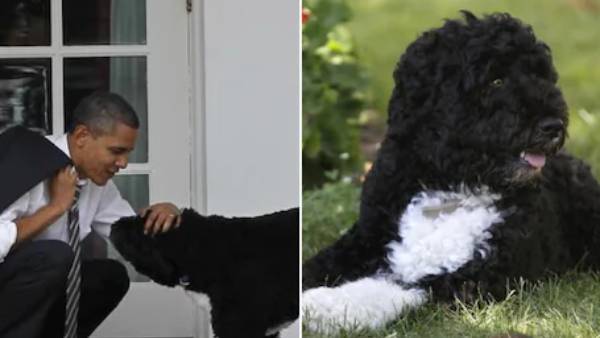 ஒபாமா வருத்தம்