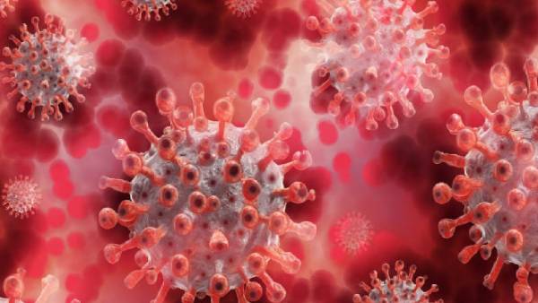 தம்பதி தம்பதி