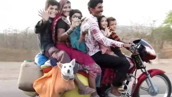 வழக்குகள் 