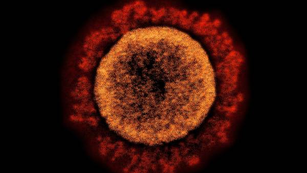  புதிய பெயர்கள்