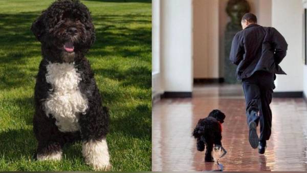 இரங்கல்