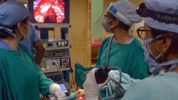 மஞ்சள் பூஞ்சையின் அறிகுறிகள் மஞ்சள் பூஞ்சையின் அறிகுறிகள்