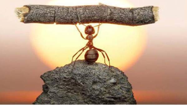 எல்லாமே ஈஸிதான் 