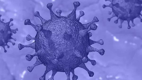 வைரஸ் உருமாற்றம் காரணம் வைரஸ் உருமாற்றம் காரணம்