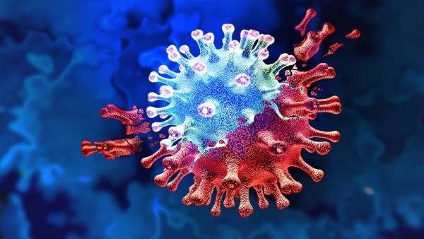 என்ன செய்யலாம்