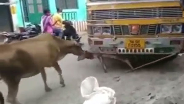 அரசர் 