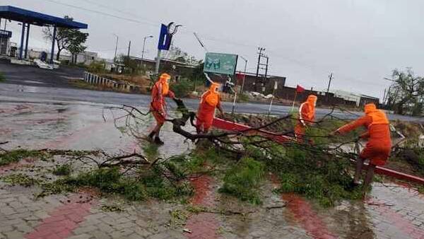 படகுகள் படகுகள்