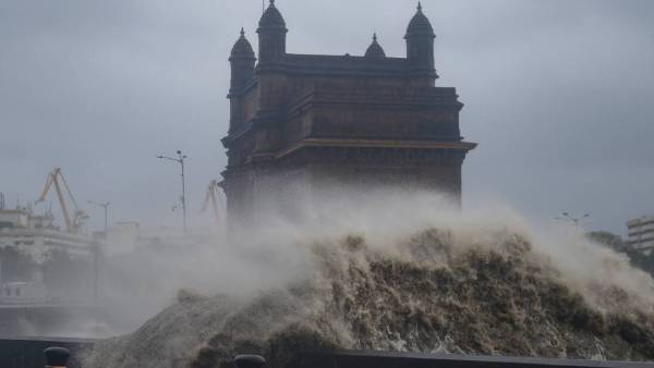 வலுவிழந்த மரங்கள் 