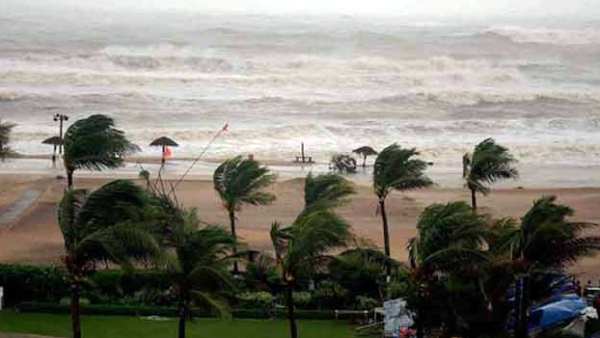 அரசு ஆதரவு இல்லை அரசு ஆதரவு இல்லை