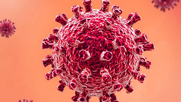 ஒட்டுமொத்த கிராமமும் ஒட்டுமொத்த கிராமமும்