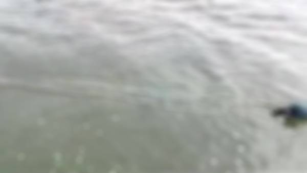 Dead bodies found floating in Ganga near Patnas Gulabi Ghat