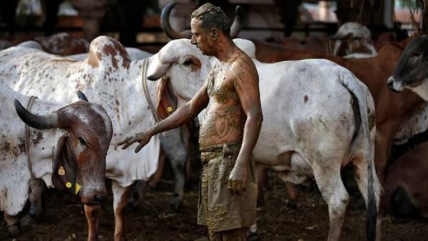 மருத்துவர்கள் கூட