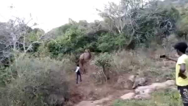  கொடூர தாக்குதல் 