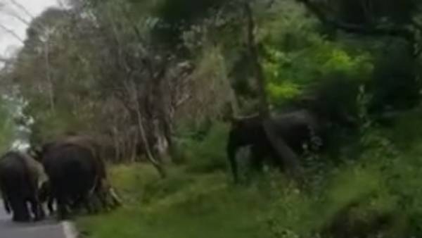 அத்தியாவசிய பொருட்கள் 