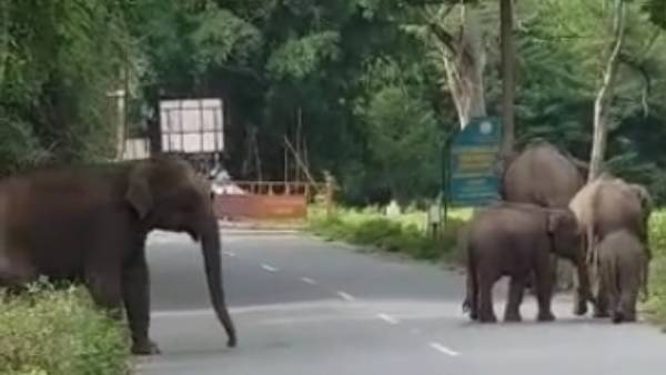  வாகன போக்குவரத்து இல்லை 