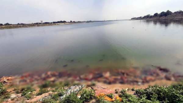 நாய்கள் தின்ற உடல்கள் 