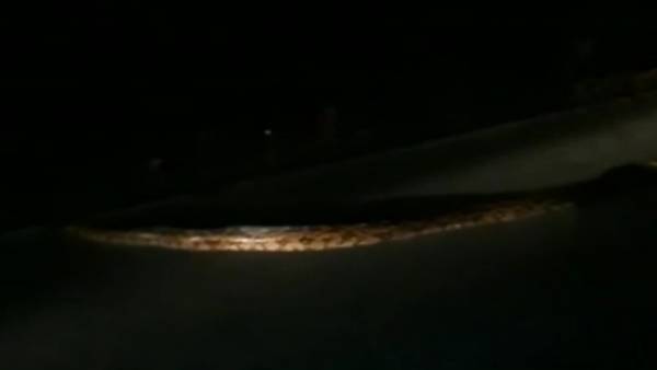 மருந்து வாகனங்கள் மருந்து வாகனங்கள்