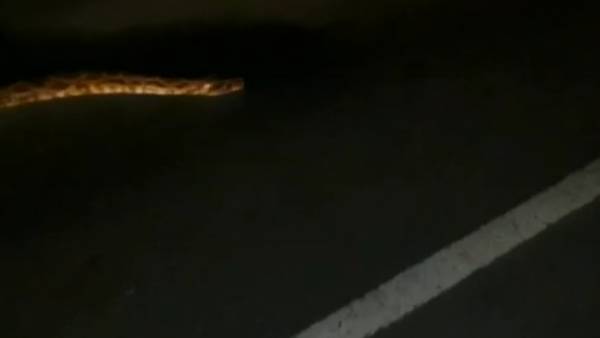 திகில் பாதை திகில் பாதை