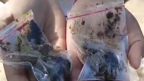 ஆய்வுக்கு போன மூலிகை 