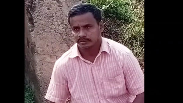 காட்டுப் பகுதி 