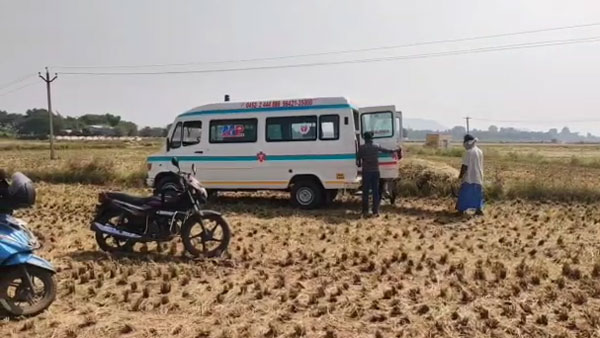 தமிழ்ச்செல்வி 