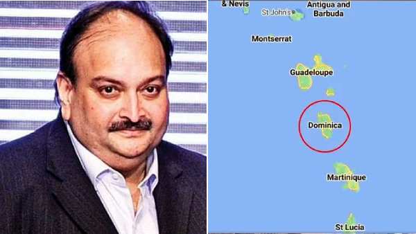 மெகுல் சோக்ஷி மெகுல் சோக்ஷி