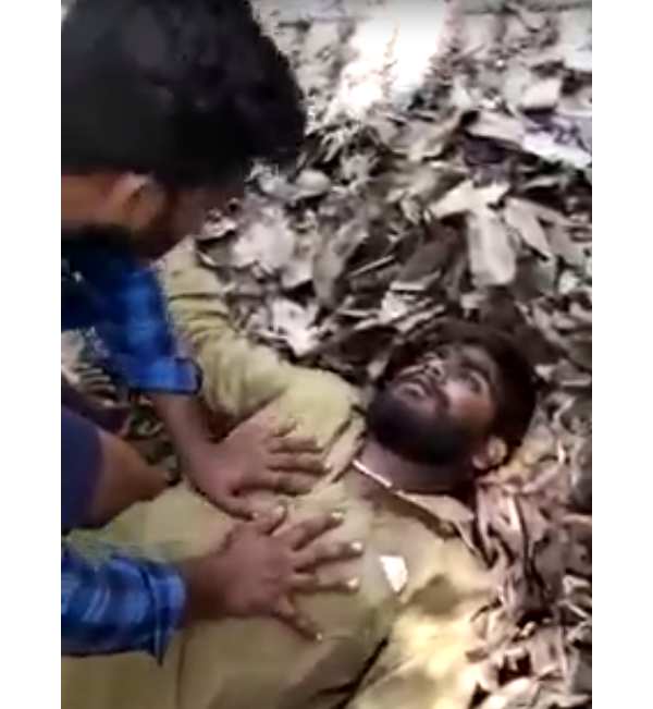 காய்கறி 