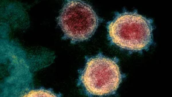 தேவை வரும்போதே ஆர்டர் 